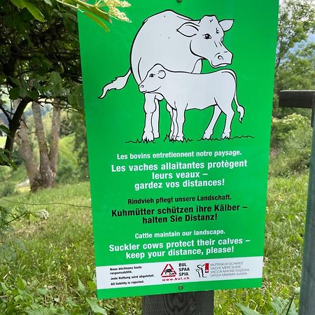 Gasthaus Beverin Farden Zewnętrze zdjęcie
